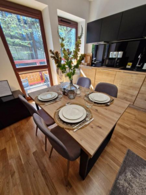 Apartament Pod Brzyzkiem & Spa